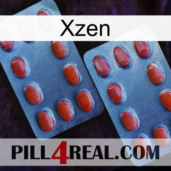 Xzen 05.jpg